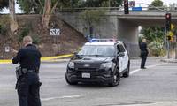 Suspect arrested in Los Angeles deadly shooting rampage