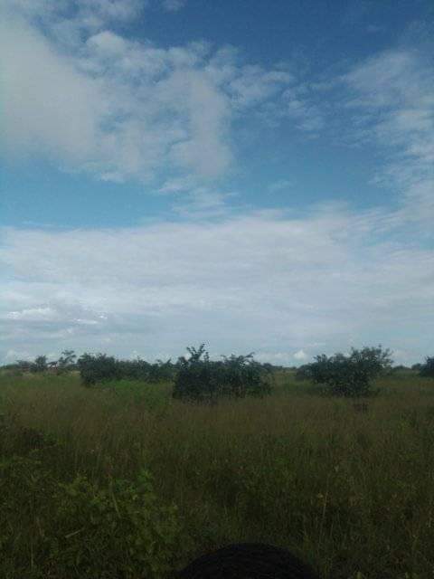 Farm for sale in chibombo 9 hectres